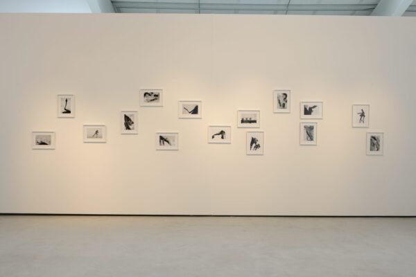 Bestiaires-AKA_2489 copie_high