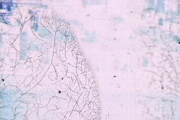 Lasting images La ville derriere le rideau