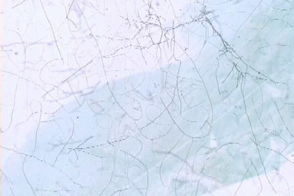 Lasting images Montagne