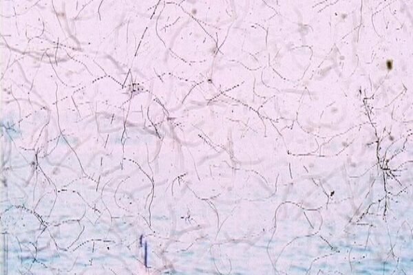 Lasting images Sur le bateau