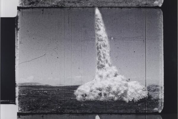 01-Dust in The wind Cedar2BexCF036048crop copie_high