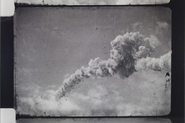 03-Dust in The wind Cedar4exCF036052crop copie_high