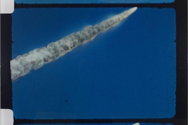 04-Dust in The wind Cedar6exCF036050crop copie_high