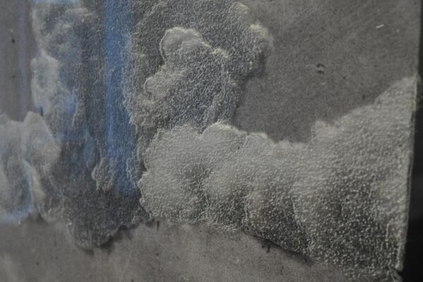 Detail Dust in the wind Cedar IV