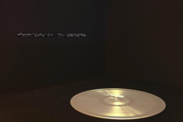 08-LRS at InsituGoldrec-exCF036062cor copie_high