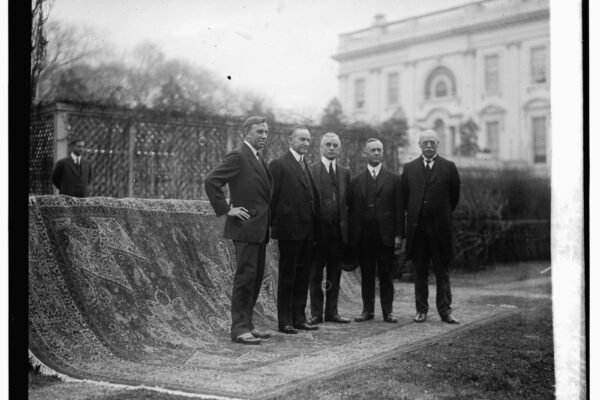 LRS A carpet Document n28_high