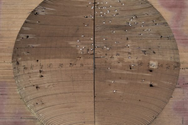 Matrice face exDSC_9500cor2byKJ_high