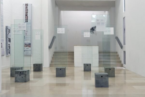 DSC_9345crop byKJ copy_high