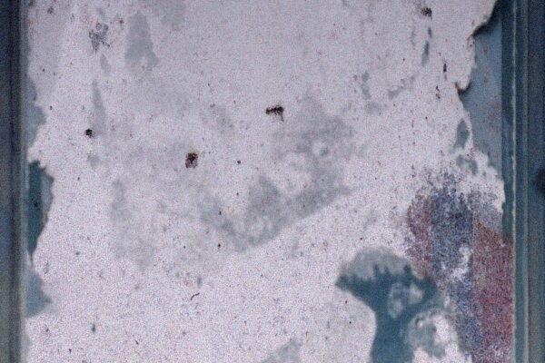 FACES 13_high