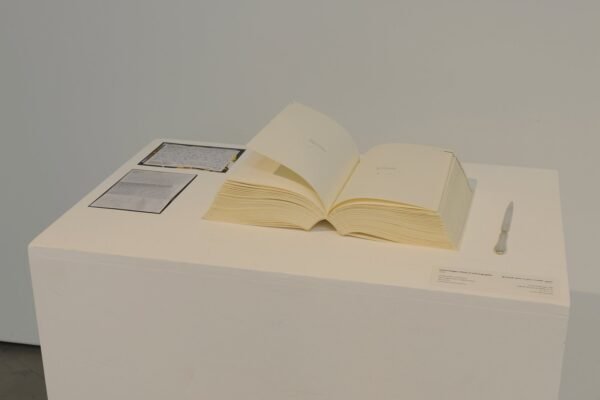 22-Latent Images-Livre-AKA_2483 copie_high