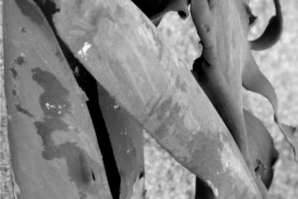 mantre-ecrasecrop_high
