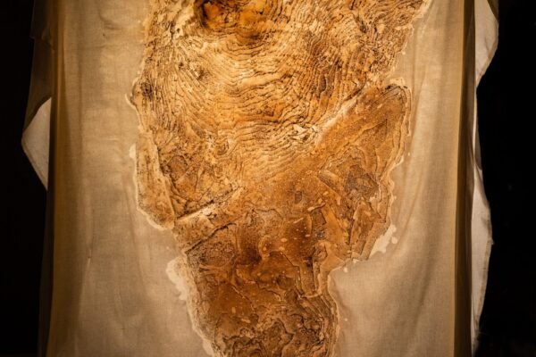 Sculpture UTCRB-AK6O0020cor copy 3_high