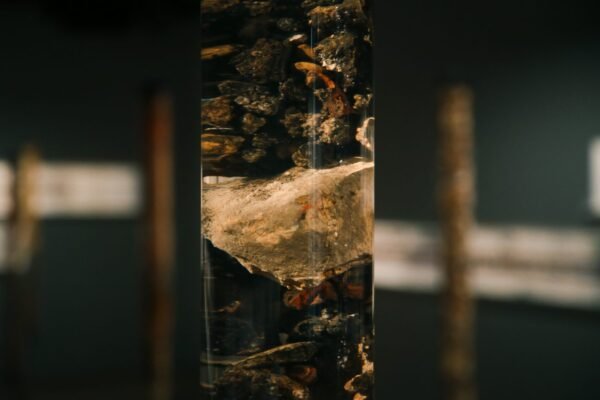 Unconformities@Kiki Papadopoulou (18)_high