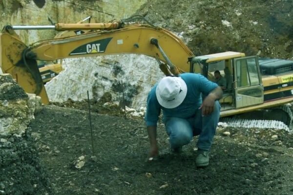 MONTAGE FORAGE4(1) copy.pct