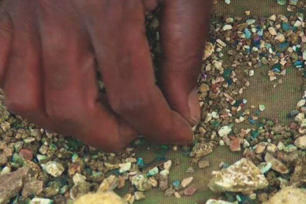 MONTAGE FORAGE5(4).pct