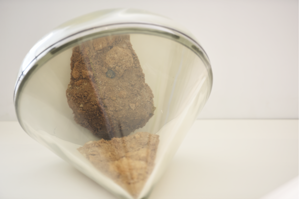 Picture 1_1_coin _high