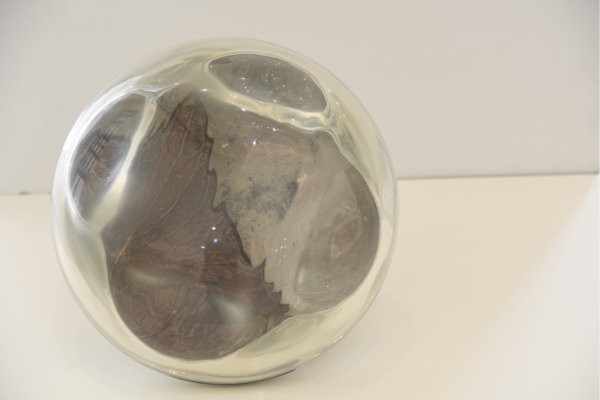 Picture 2_flora _high