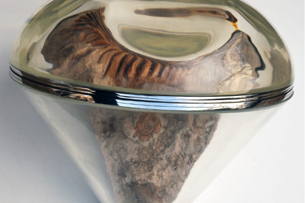 Picture 3_3_ammonite _high