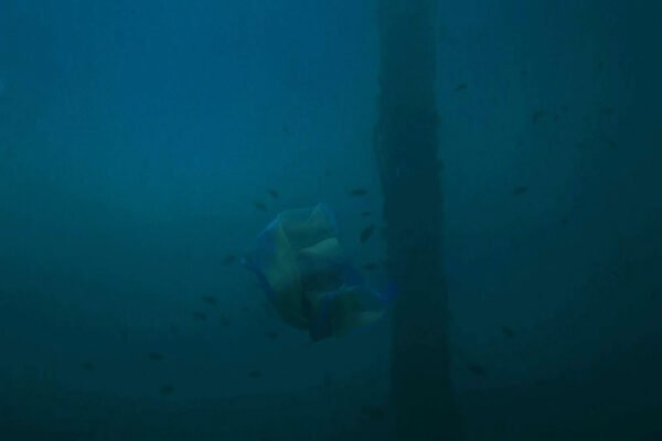 10-RTL-Scarf_160304 [h264 1080p] 1027 copy