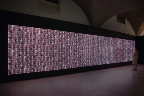 DSC_2505WIMMcor_copyright J&K