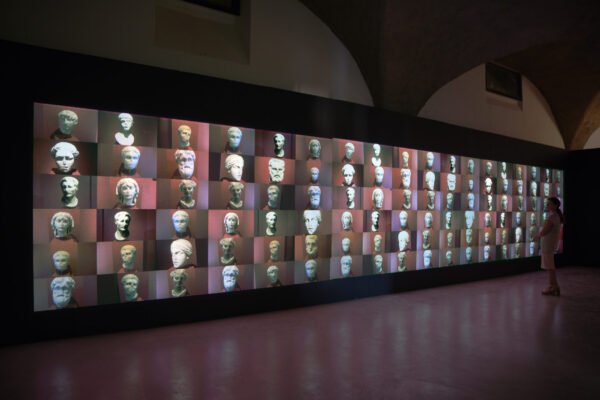 DSC_2507 WIMMcor_copyright J&K