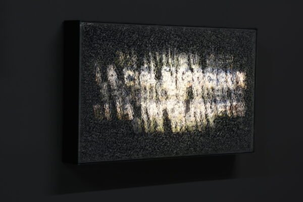 DSC_7585Le ciel silencieux 34 _high