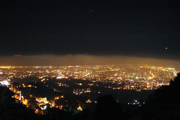 Distracted bulllets (Best)Mid res