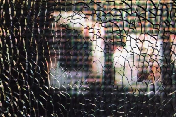 IMG_0074_copyright Laurent Brett