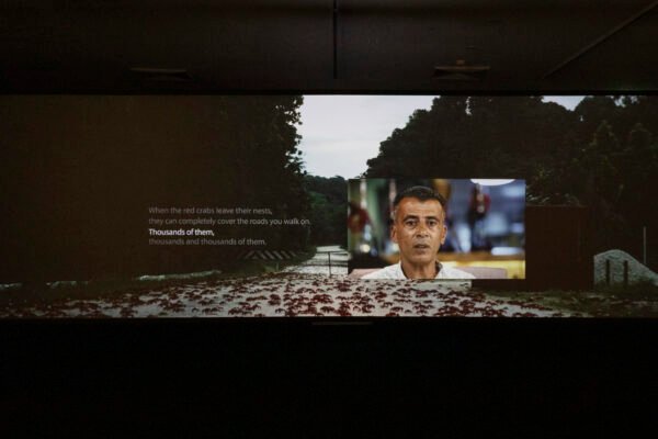 Bathurst Regional Art Gallery Rememory; 25th Biennale of Sydney at Campbelltown Arts Centre 2026